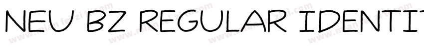 NEU BZ Regular Identity H字体转换
